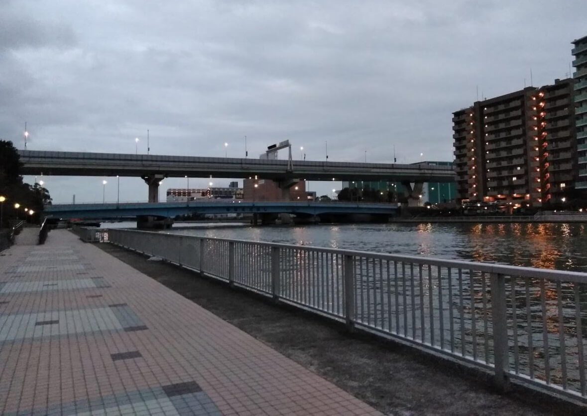 関東 東京近郊の釣り場情報 東京都江東区潮見運動公園 海釣り ラクダの釣行日誌