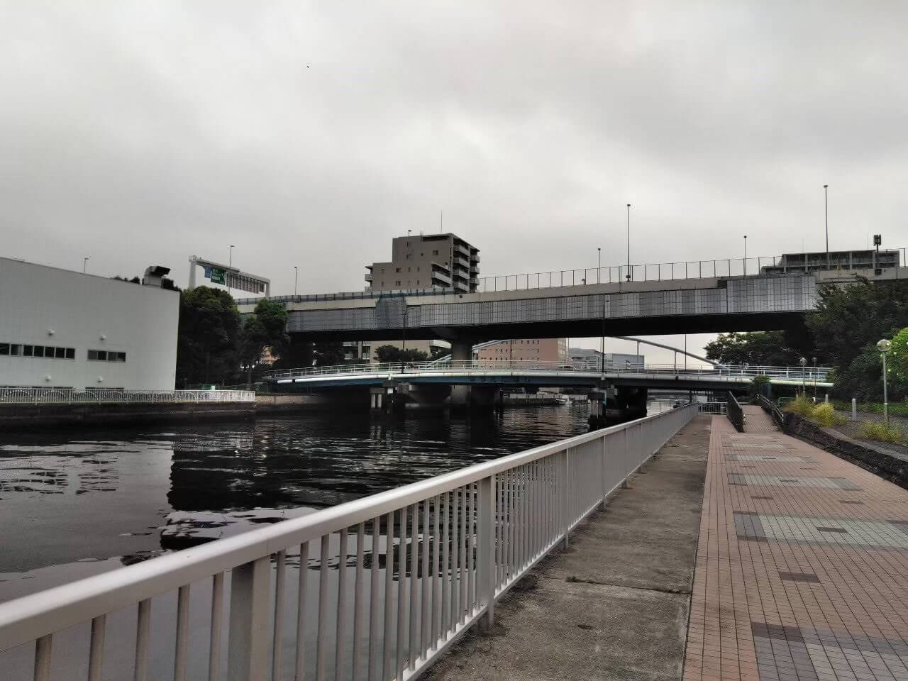 関東 東京近郊の釣り場情報 東京都江東区潮見運動公園 海釣り ラクダの釣行日誌