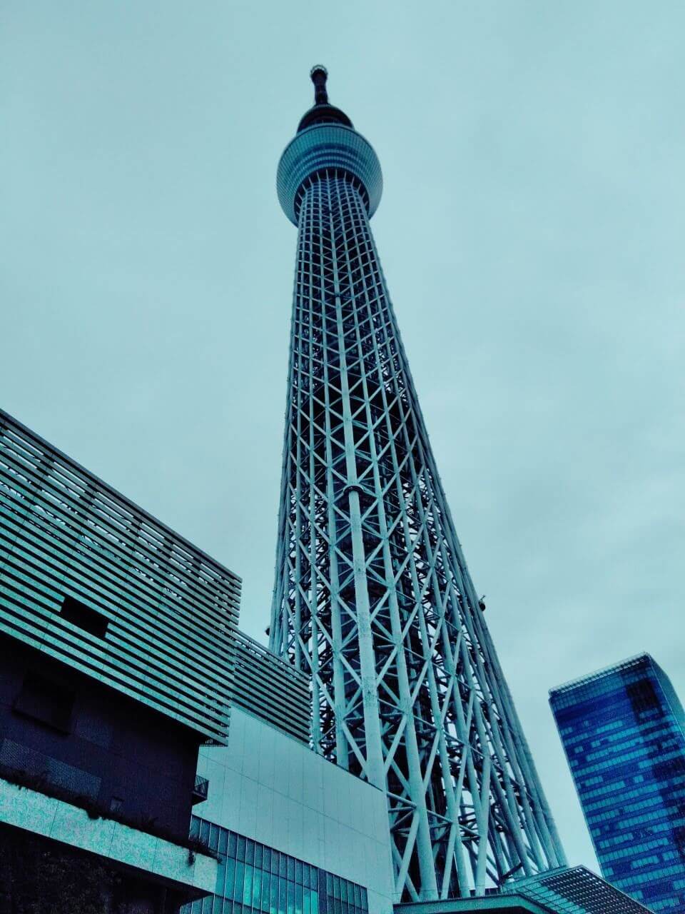 19年9月21日 東京都墨田区横十間川でスカイツリー見ながらハゼ釣れすぎ の話 ラクダの釣行日誌