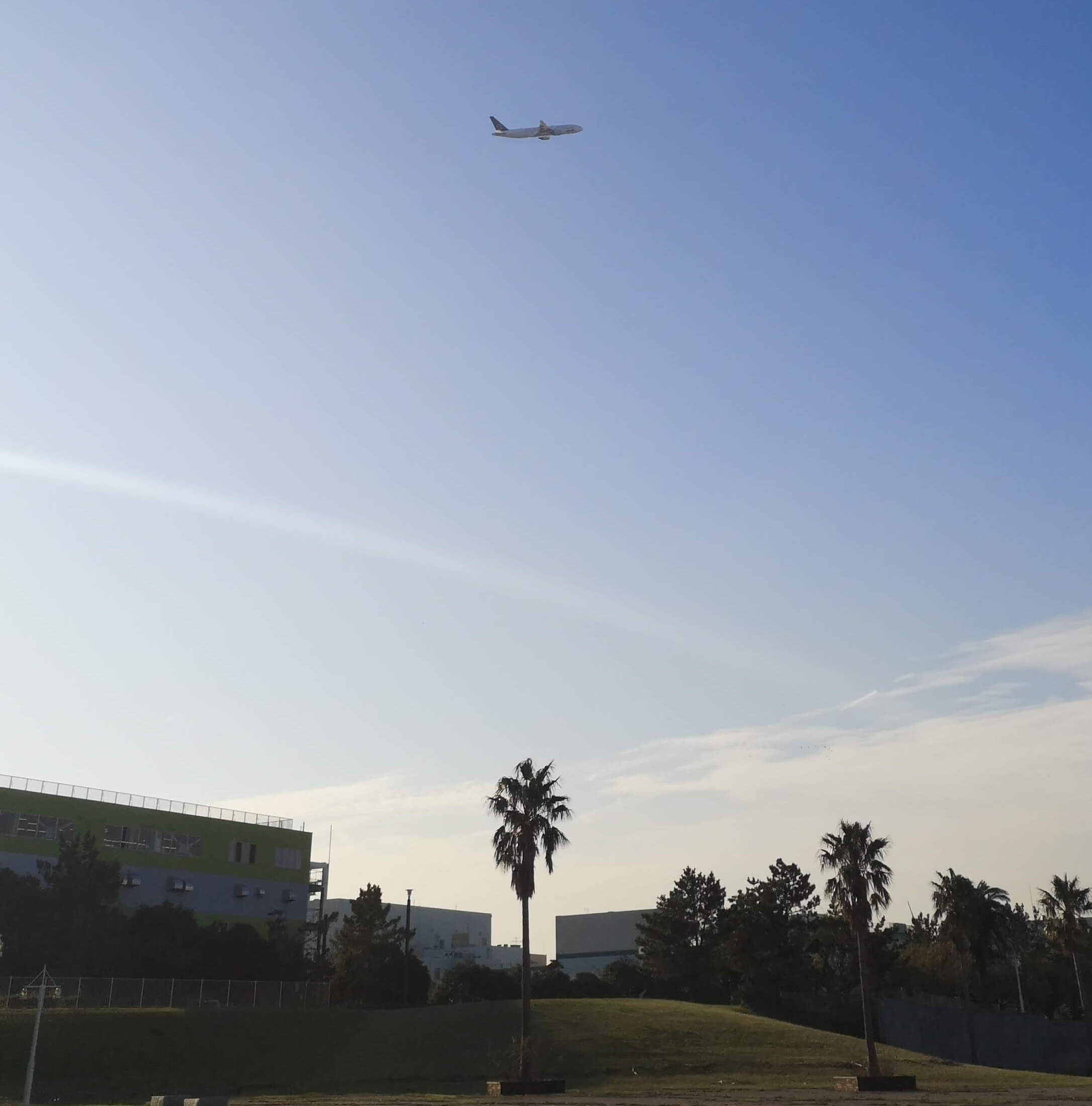 関東 東京近郊の釣り場情報 東京都大田区の城南島海浜公園 海釣り ラクダの釣行日誌