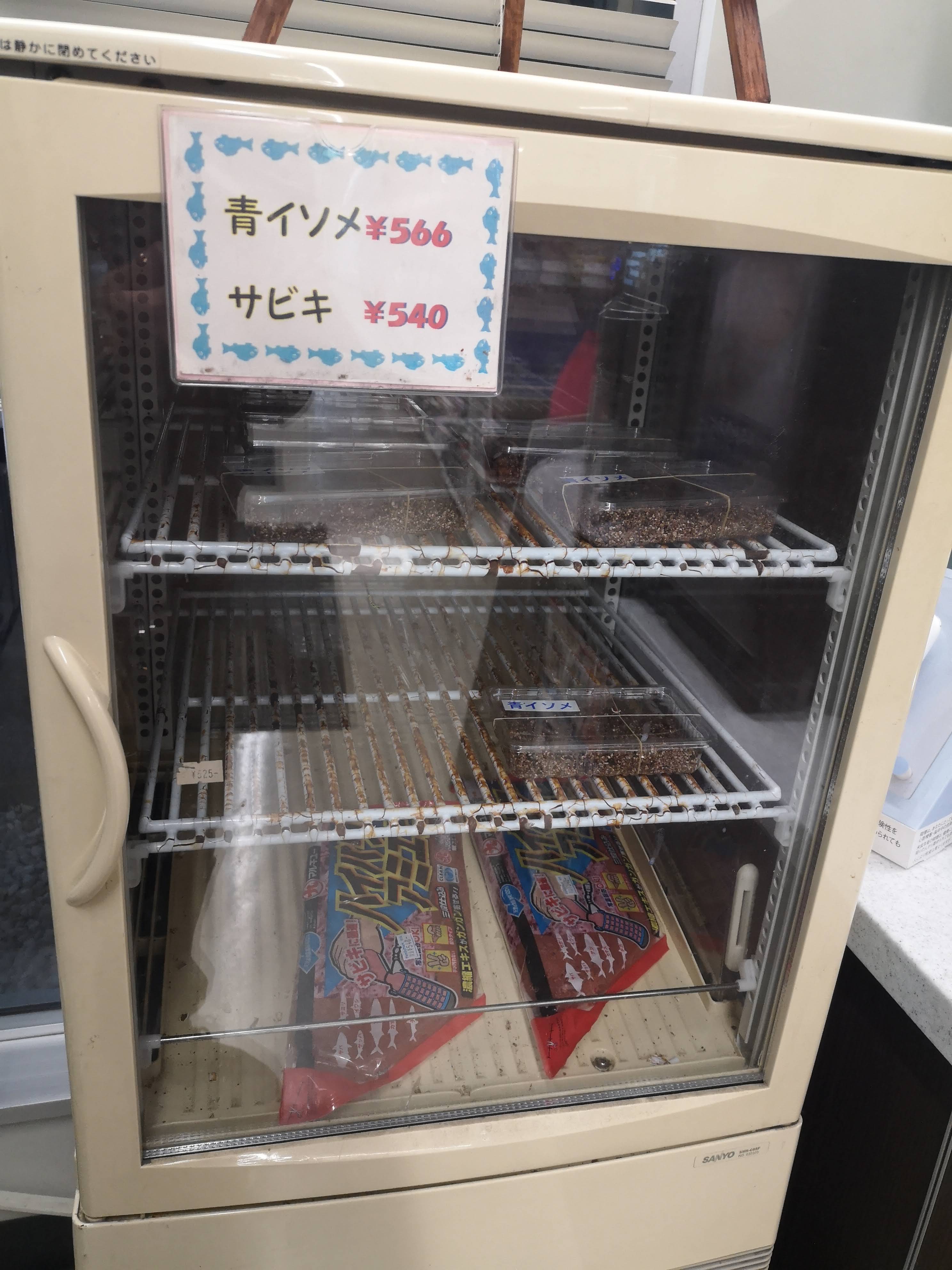 19年11月2日 若洲海浜公園にて徹夜釣りで変な奴らが釣れた の話 ラクダの釣行日誌