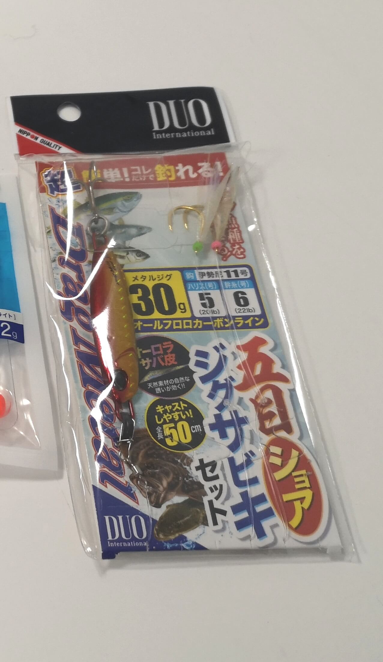 年10月31日千葉県の内房にて久々の海釣りへ行った話 ラクダの釣行日誌